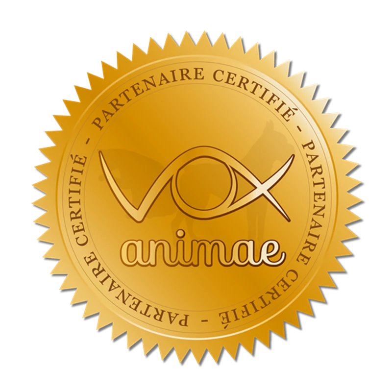 animae