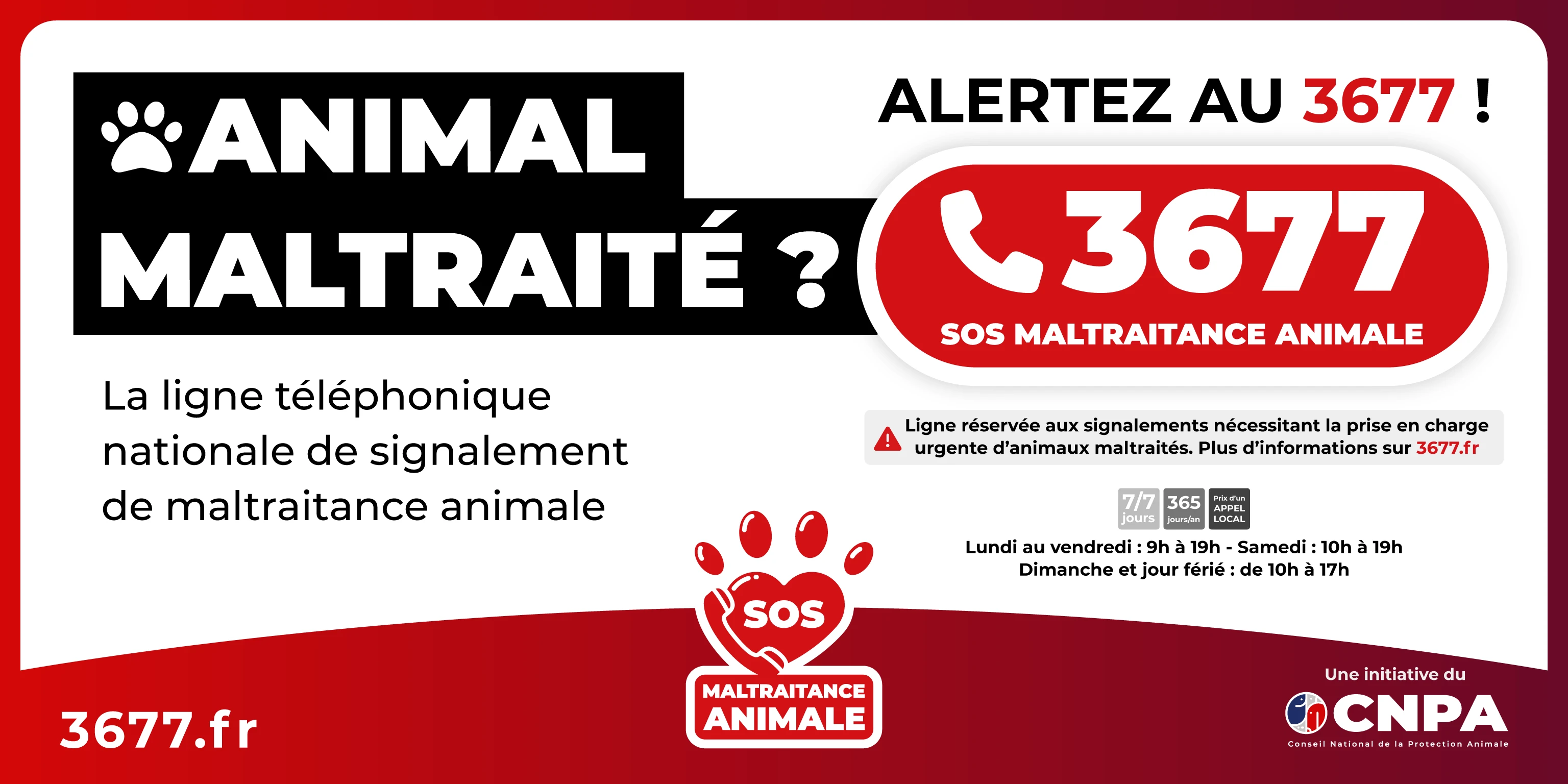 Signalement Maltraitance